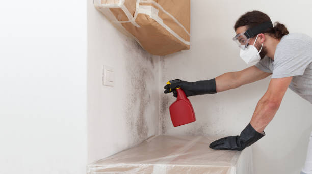 Professional Bathroom Mold Removal technician working in Dedham, MA