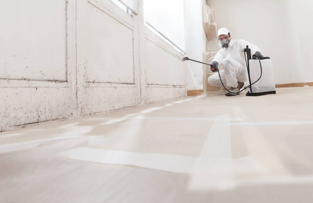 24/7 Emergency Bathroom Mold Removal experts in Dedham, MA